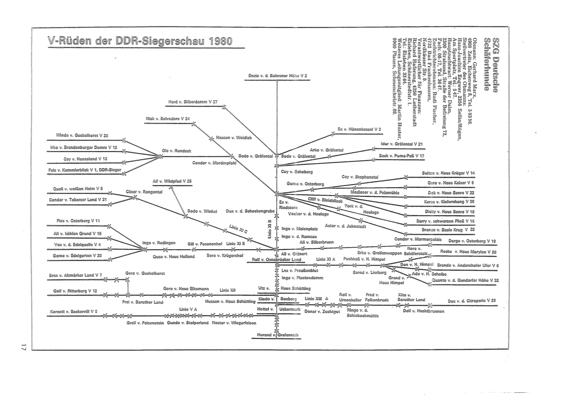 DDR Zuchtrüden 1980